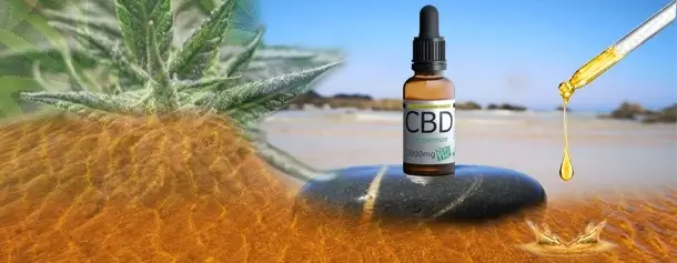 PT_Óleo de CBD SulisLuna FAQ 1 CBD Oil SulisLuna FAQ