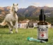 Aceite de CBD para caballos EquineX 7500mg SulisPet con caballo blanco en campo natural