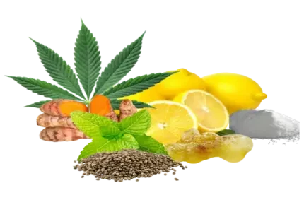 Pagina Inicial 46 all natural organic