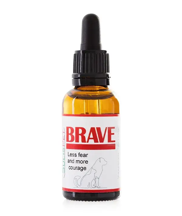 Pagina Inicial 17 Brave pet less fear and more courage 30 ml