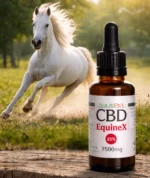 Hermoso caballo blanco corriendo libremente por un prado soleado, demostrando excelente movilidad y salud articular. En primer plano, el frasco de aceite CBD caballos EquineX 7500mg.