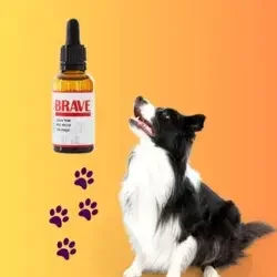 brave-pet-sulispet brave pet sulispet 30 ml