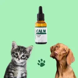 calming pet calming pet