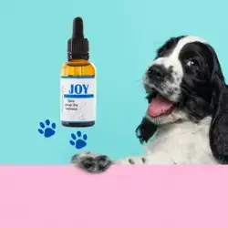 joy pet joy pet