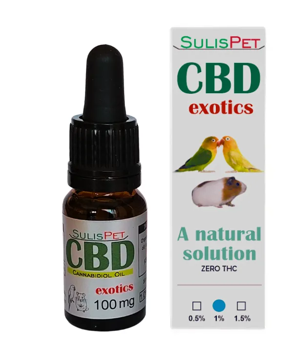 Pagina Inicial 17 exoticos pet oleo cbd 1%