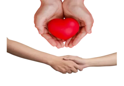 Pagina Inicial 48 love and care