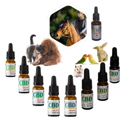 Aceite CBD Mascotas 14 cbd mascotas