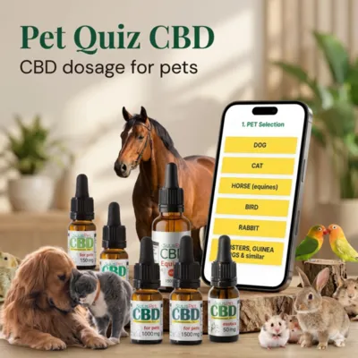 A smartphone showing a pet quiz CBD dosage selection menu surrounded by a golden retriever, cat, horse, and small pets in a sunny outdoor meadow.