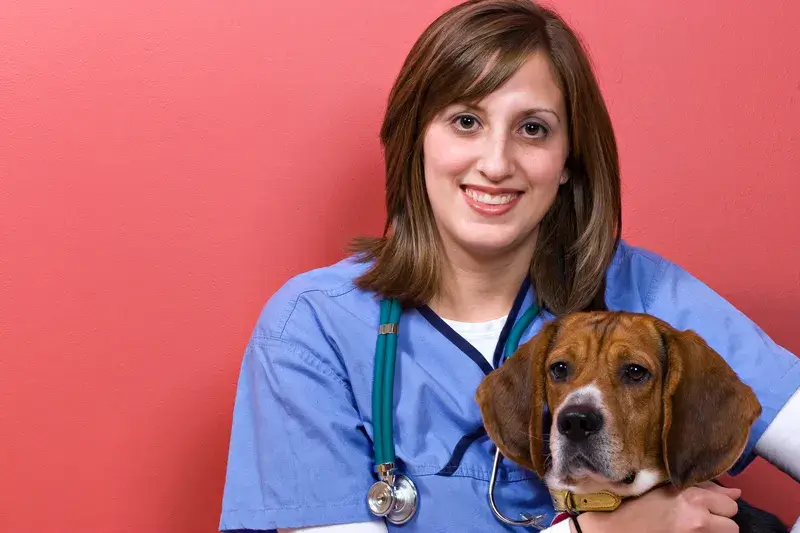 veterinário calculadora cbd